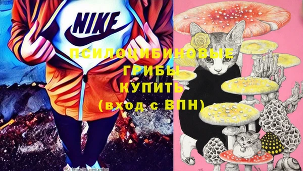 ECSTASY Горно-Алтайск