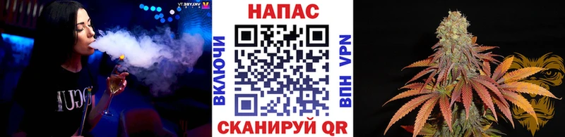 Шишки марихуана план  Купить  Злынка 